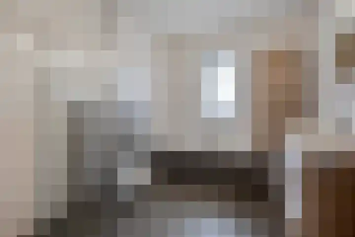 Arendshorst 40 Raalte thumbnail 34