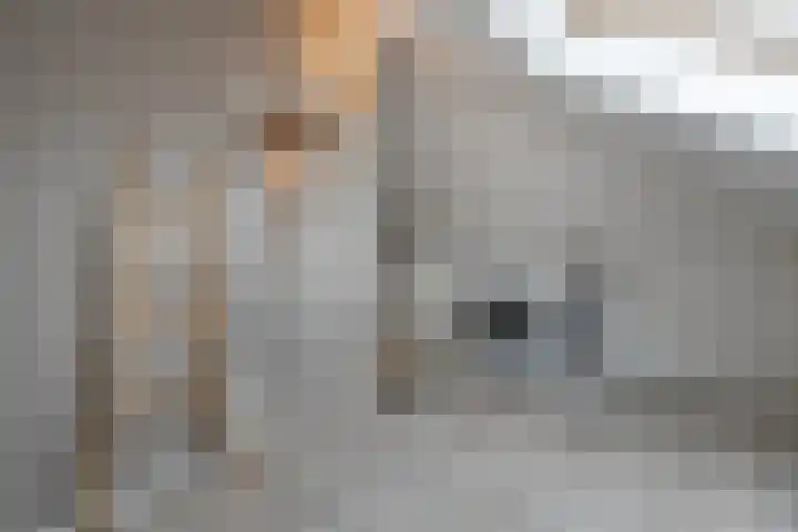 Arendshorst 40 Raalte thumbnail 39