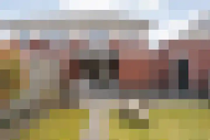 Arendshorst 40 Raalte thumbnail 42