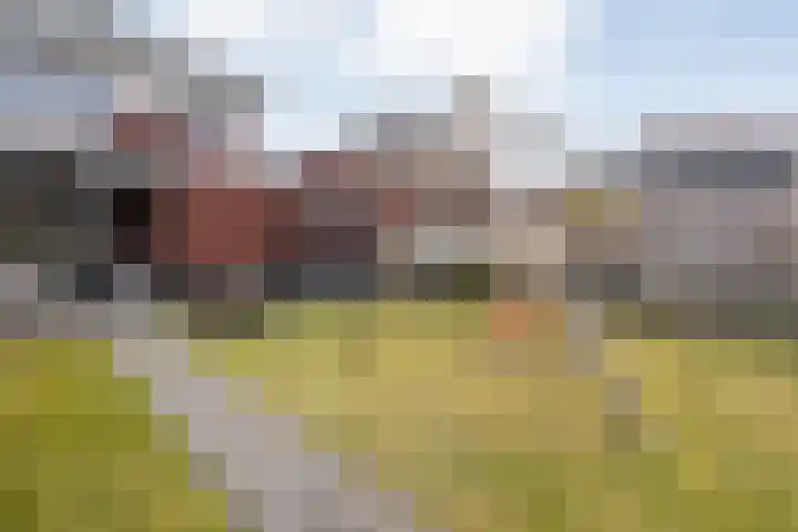 Arendshorst 40 Raalte thumbnail 43