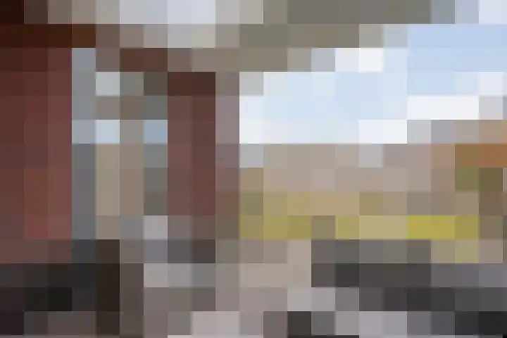 Arendshorst 40 Raalte thumbnail 45