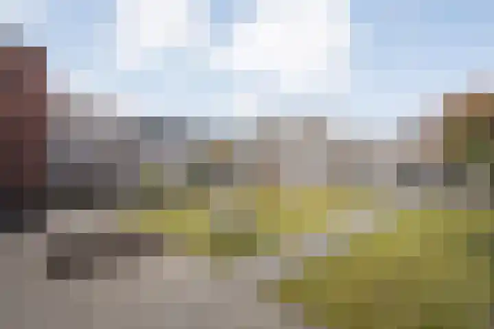 Arendshorst 40 Raalte thumbnail 47