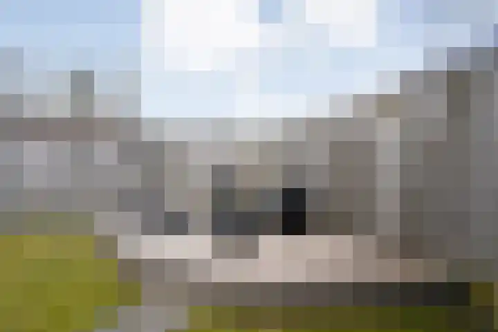 Arendshorst 40 Raalte thumbnail 48