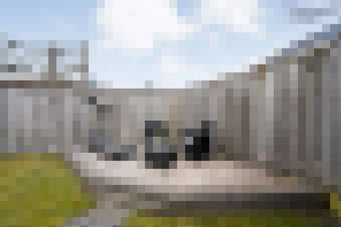 Arendshorst 40 Raalte thumbnail 48
