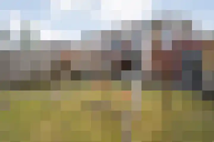 Arendshorst 40 Raalte thumbnail 49