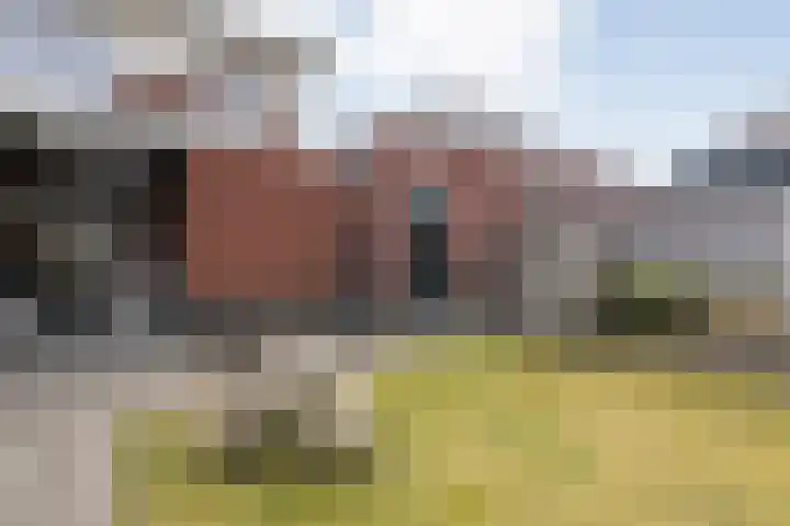 Arendshorst 40 Raalte thumbnail 50