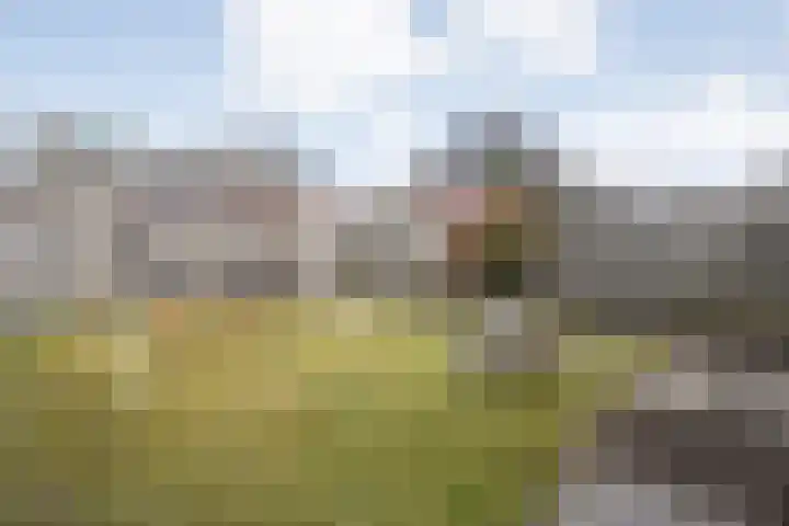 Arendshorst 40 Raalte thumbnail 51