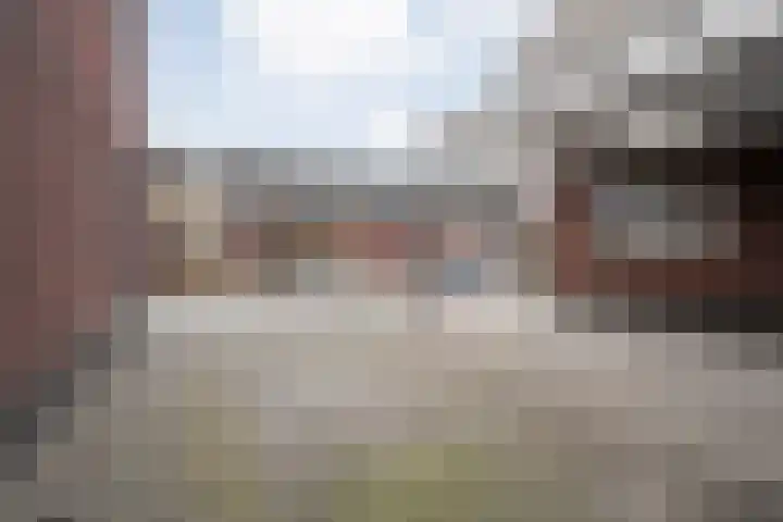 Arendshorst 40 Raalte thumbnail 7