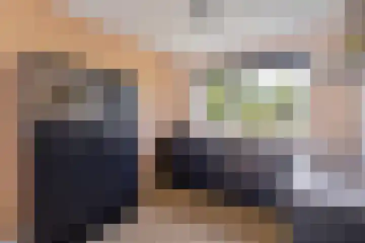 Arendshorst 47 Raalte thumbnail 12