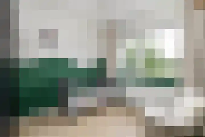 Arendshorst 47 Raalte thumbnail 17