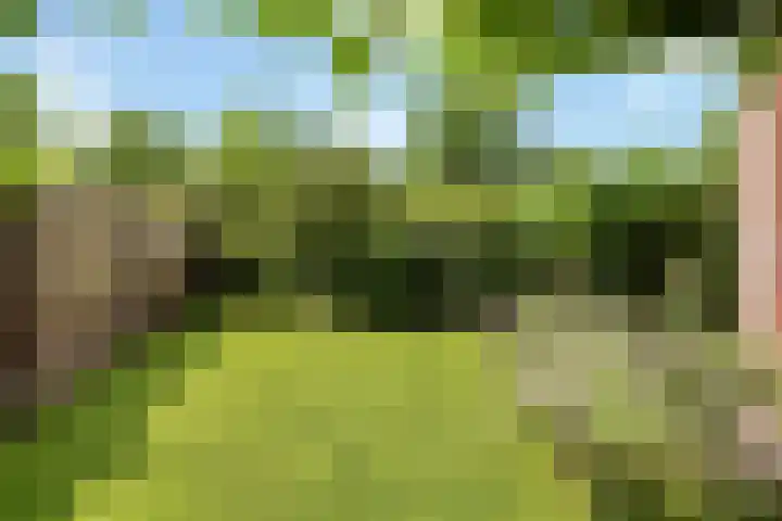 Arendshorst 47 Raalte thumbnail 24