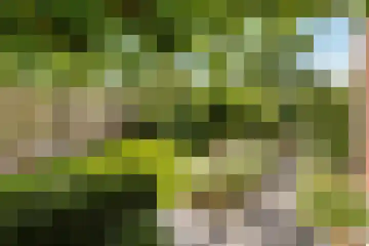 Arendshorst 47 Raalte thumbnail 26