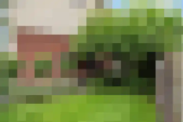 Arendshorst 47 Raalte thumbnail 28