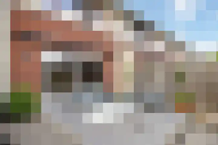 Arendshorst 47 Raalte thumbnail 30
