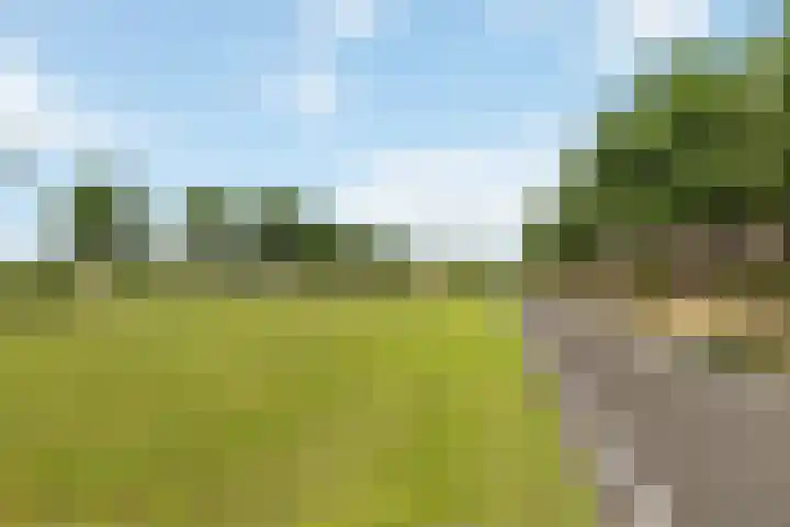 Arendshorst 47 Raalte thumbnail 36