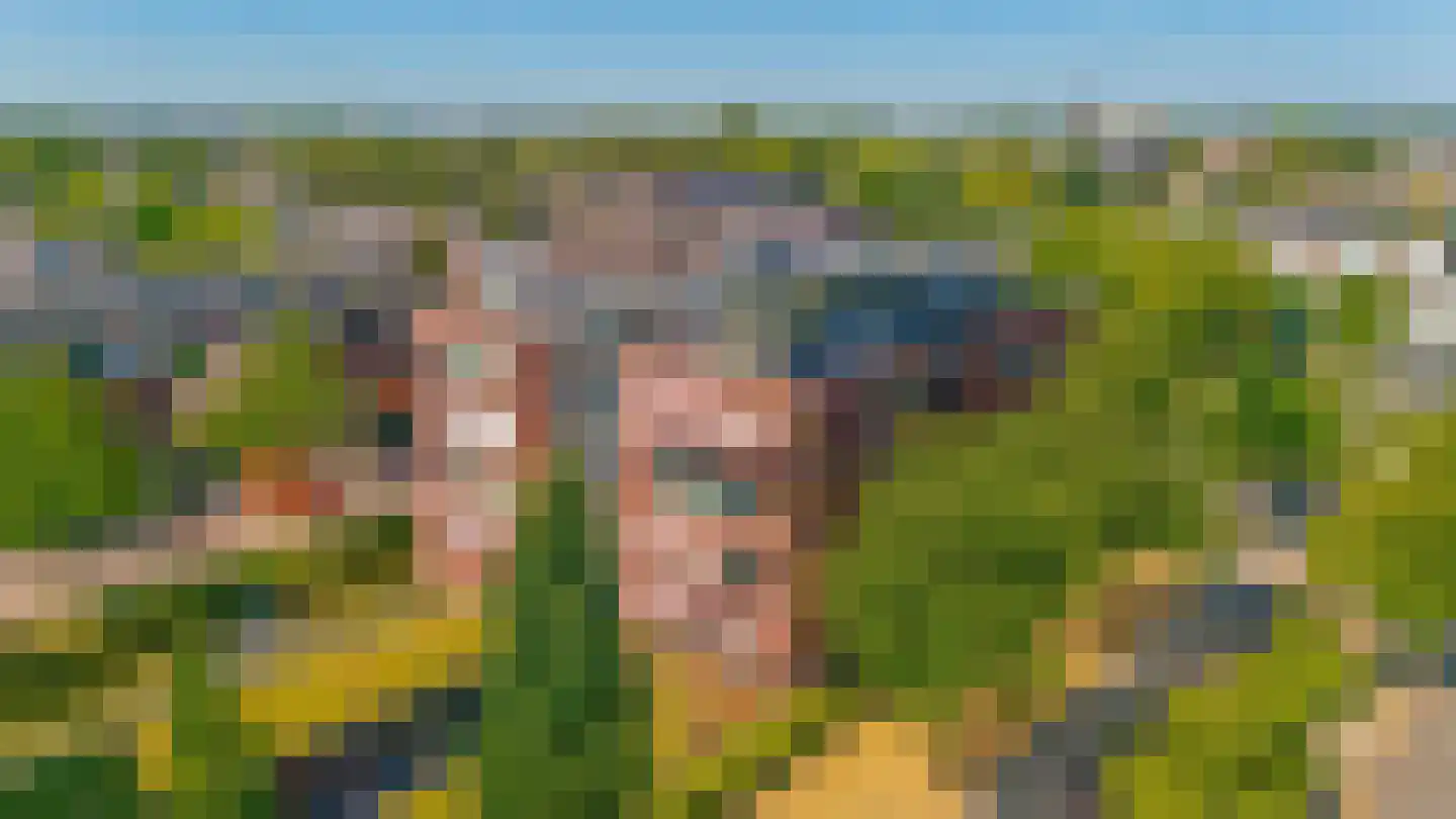 Arendshorst 57 Honselersdijk thumbnail 24