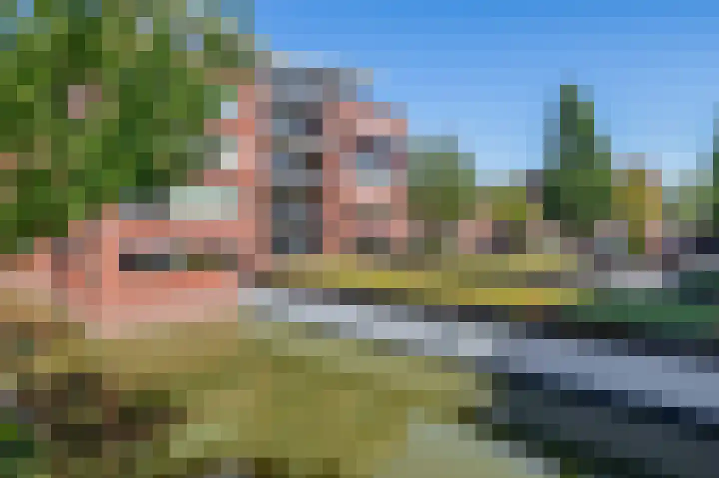 Arendshorst 57 Honselersdijk thumbnail 25