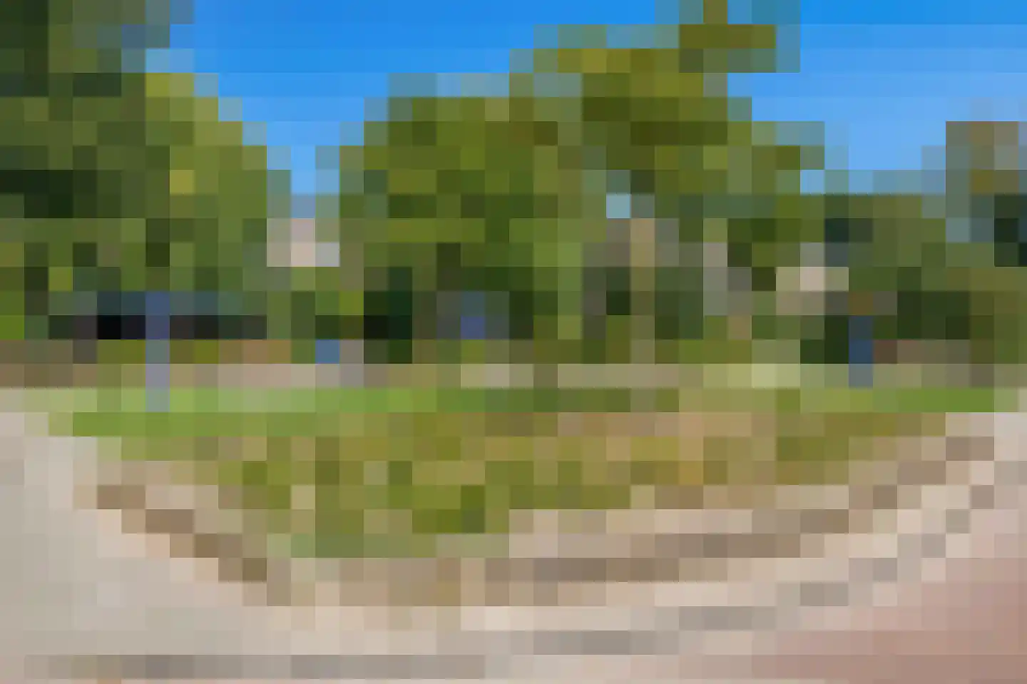 Arendshorst 57 Honselersdijk thumbnail 26