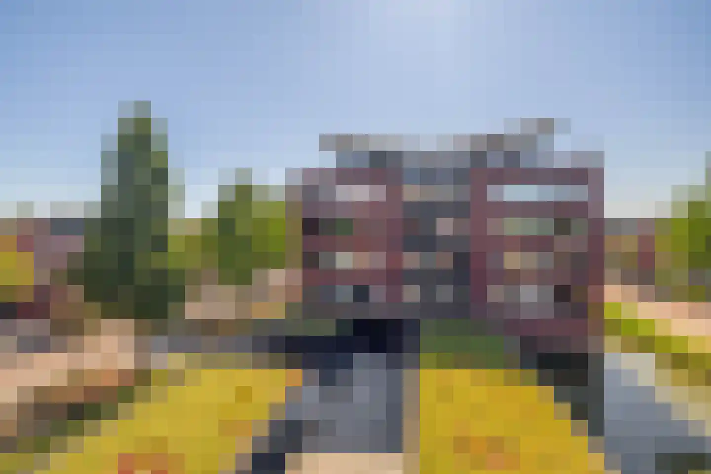 Arendshorst 57 Honselersdijk thumbnail 29