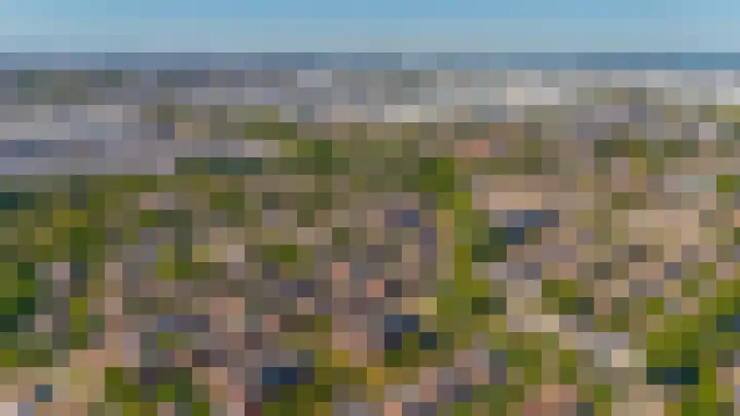 Arendshorst 57 Honselersdijk thumbnail 30