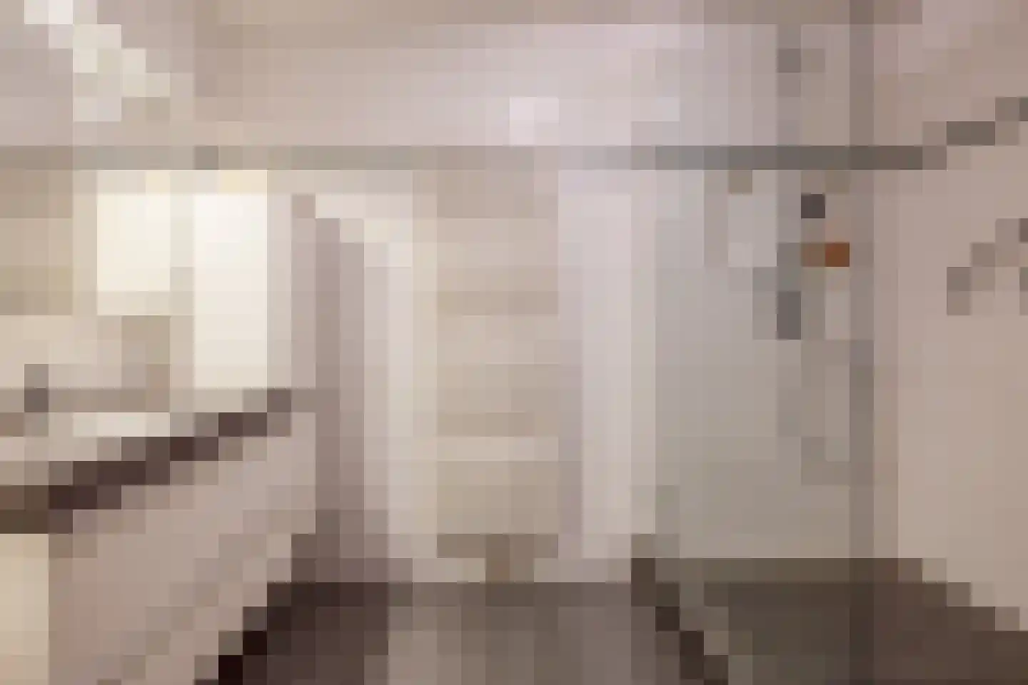 Arendshorst 57 Honselersdijk thumbnail 5