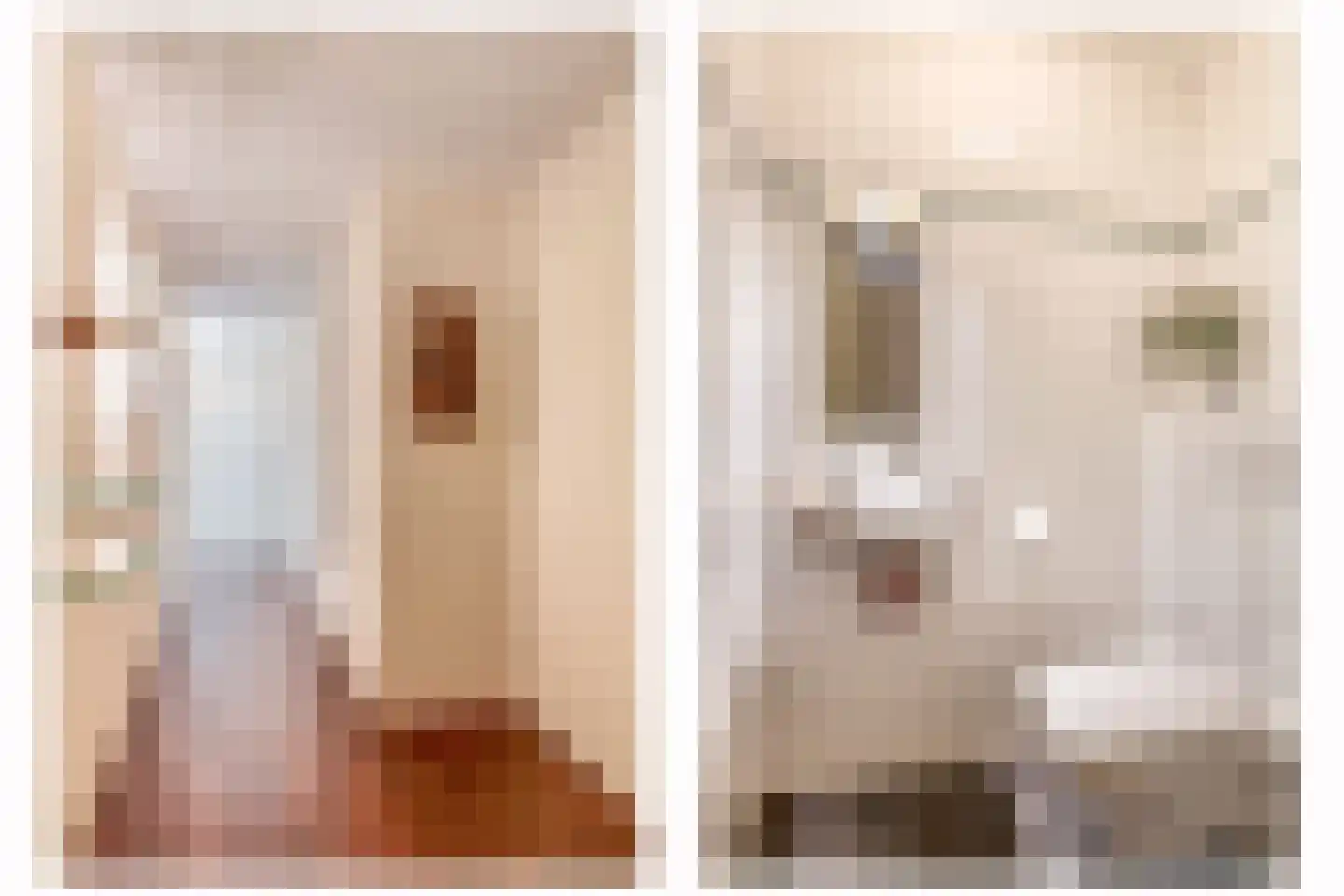 Arendshorst 57 Honselersdijk thumbnail 8