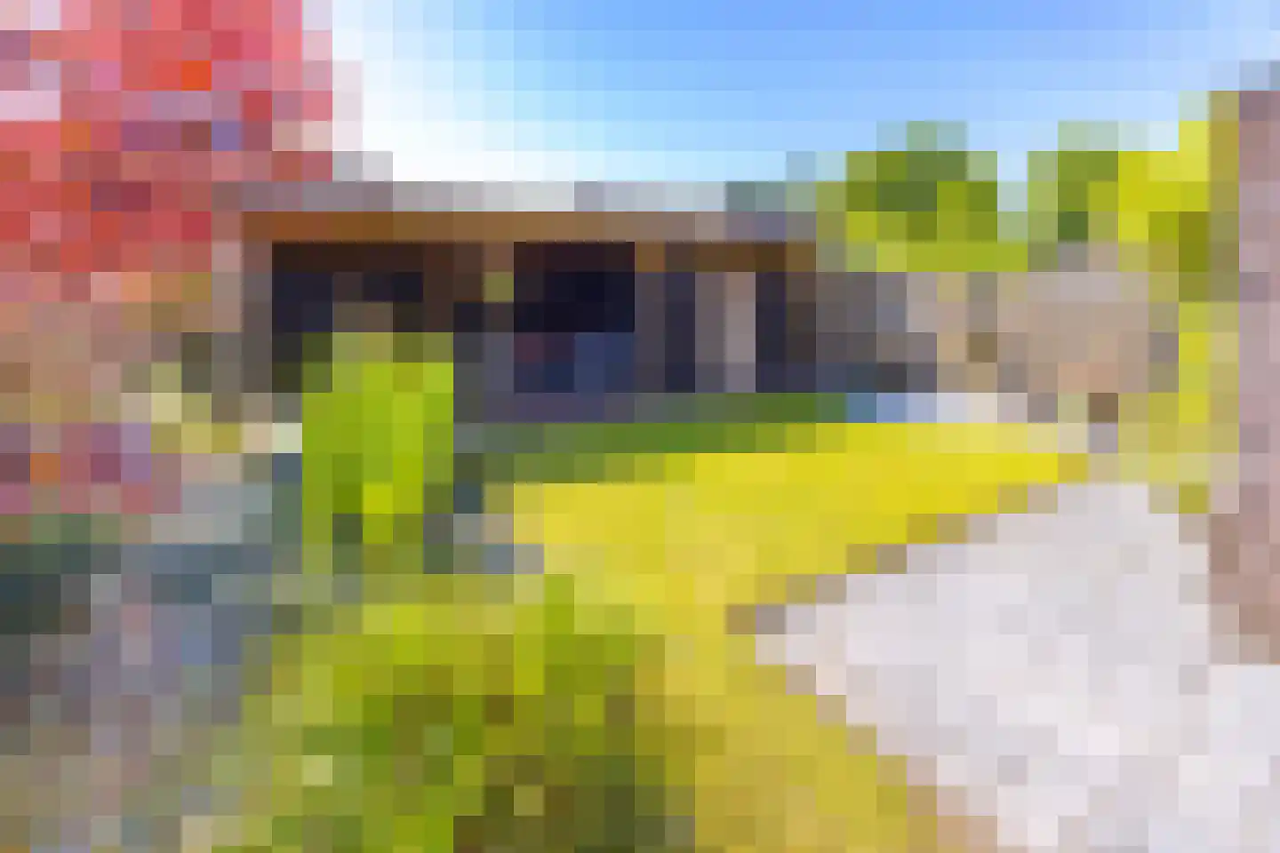 Arendshorst 6 Stadskanaal thumbnail 26