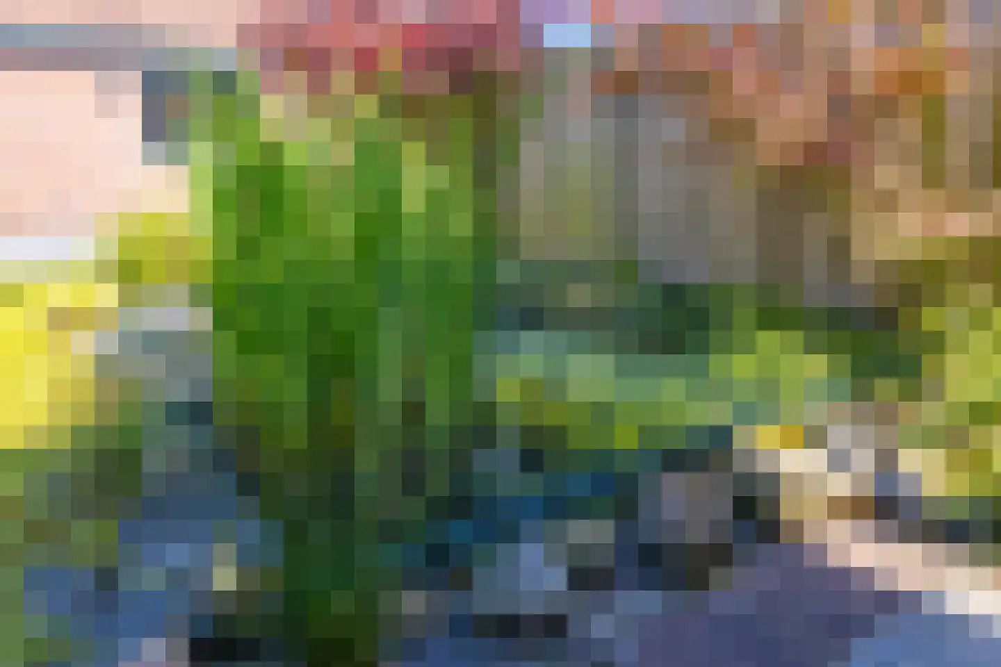 Arendshorst 6 Stadskanaal thumbnail 29