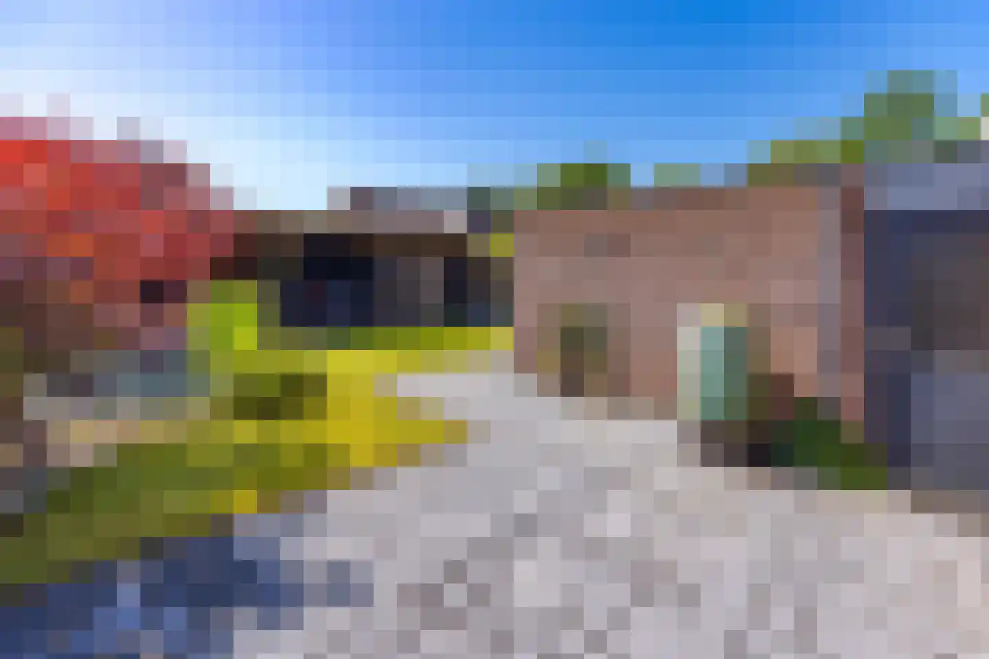 Arendshorst 6 Stadskanaal thumbnail 30