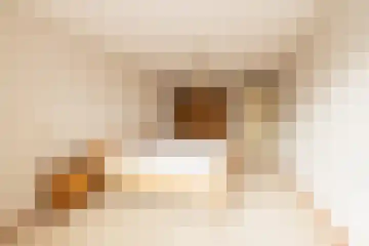 Arendshorst 65 Honselersdijk thumbnail 25