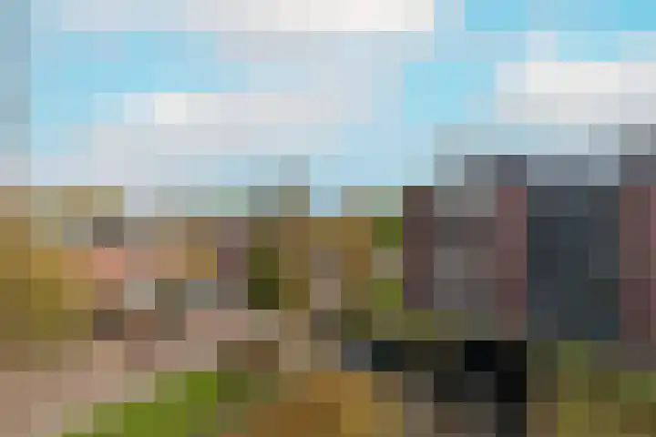 Arendshorst 65 Honselersdijk thumbnail 29