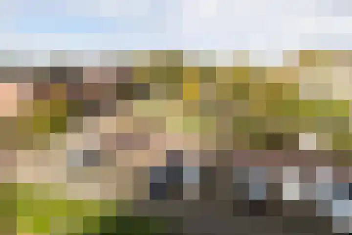 Arendshorst 65 Honselersdijk thumbnail 30