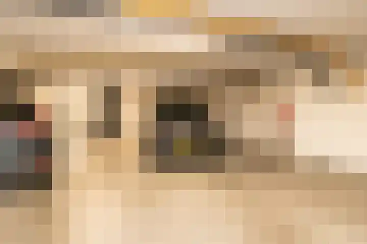 Arendshorst 65 Honselersdijk thumbnail 31