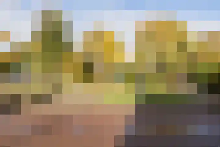 Arendshorst 65 Honselersdijk thumbnail 33