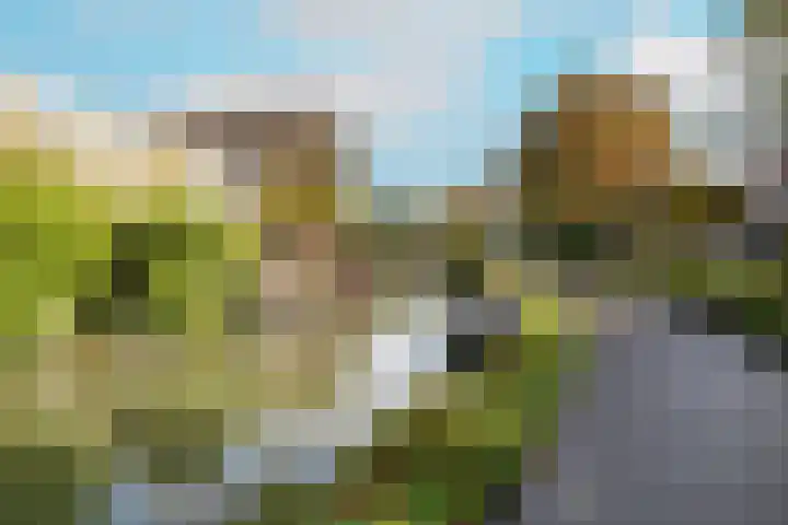 Arendshorst 65 Honselersdijk thumbnail 34