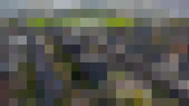 Arendshorst 65 Honselersdijk thumbnail 36