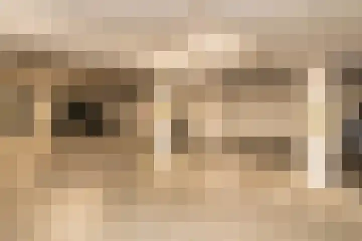 Arendshorst 65 Honselersdijk thumbnail 4