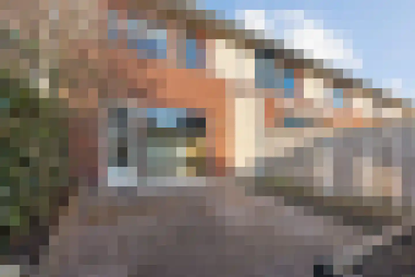 Arendshorst 67 Raalte thumbnail 24