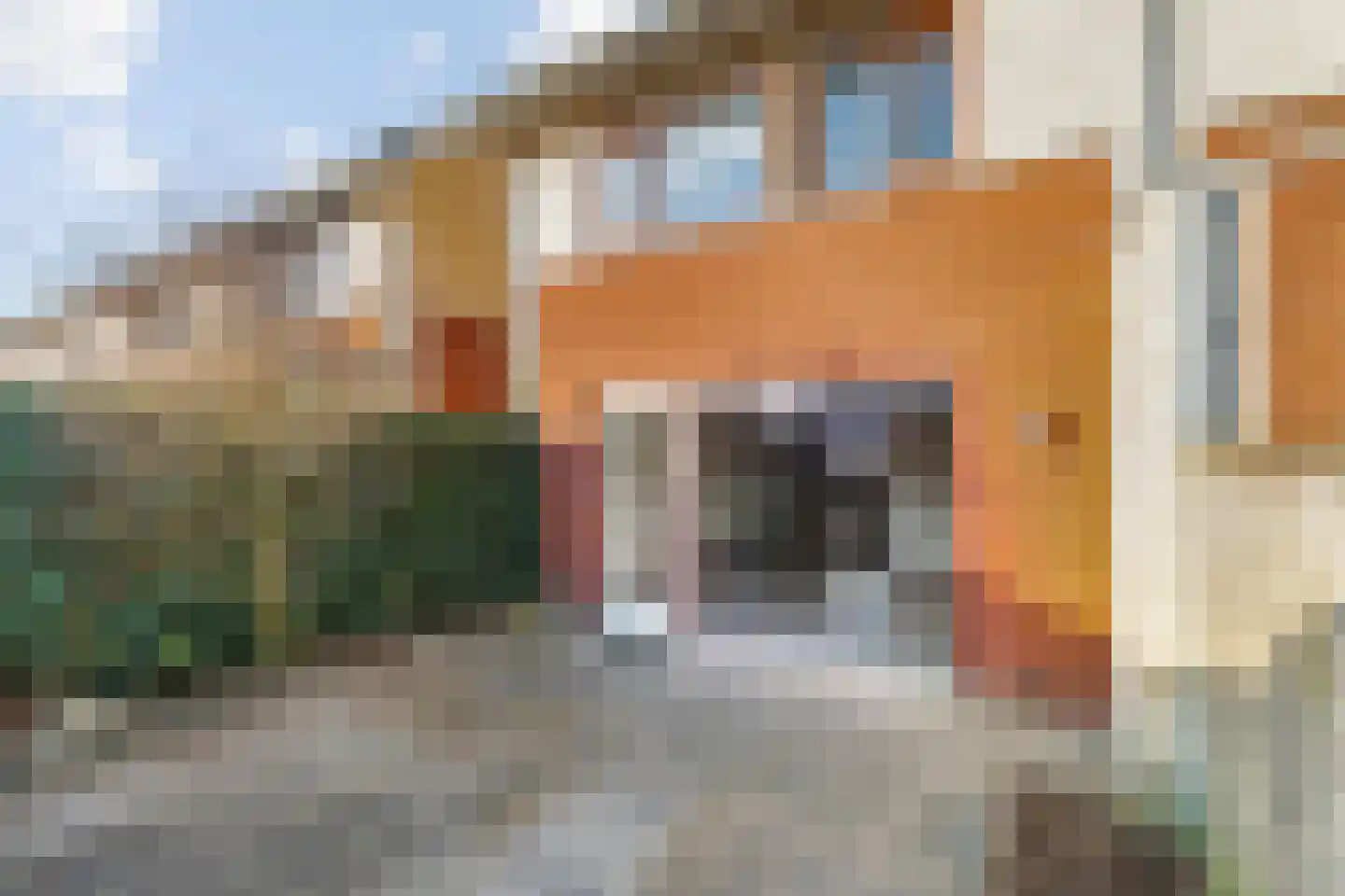 Arendshorst 67 Raalte thumbnail 25