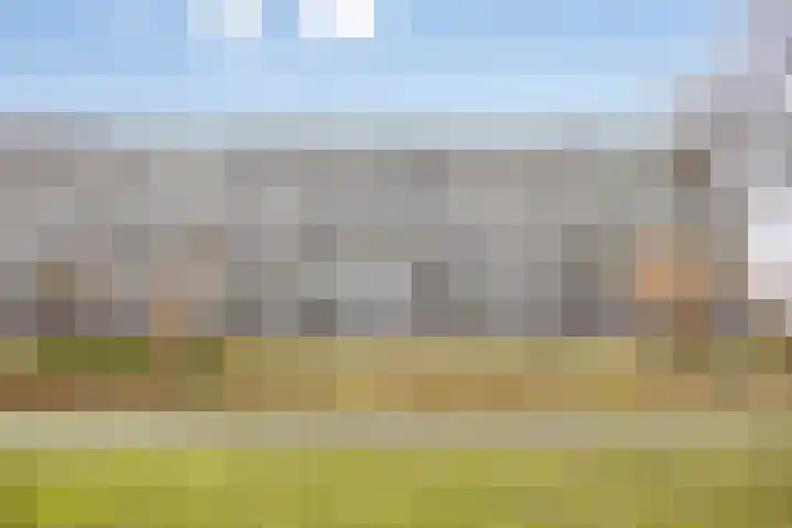 Arendshorst 79 Leiden thumbnail 29