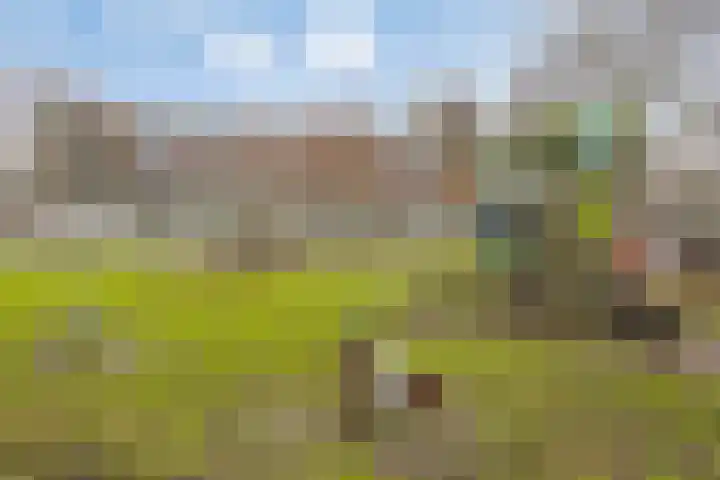 Arendshorst 79 Leiden thumbnail 30