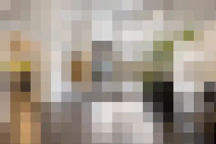 Arendshorst 79 Leiden thumbnail 8