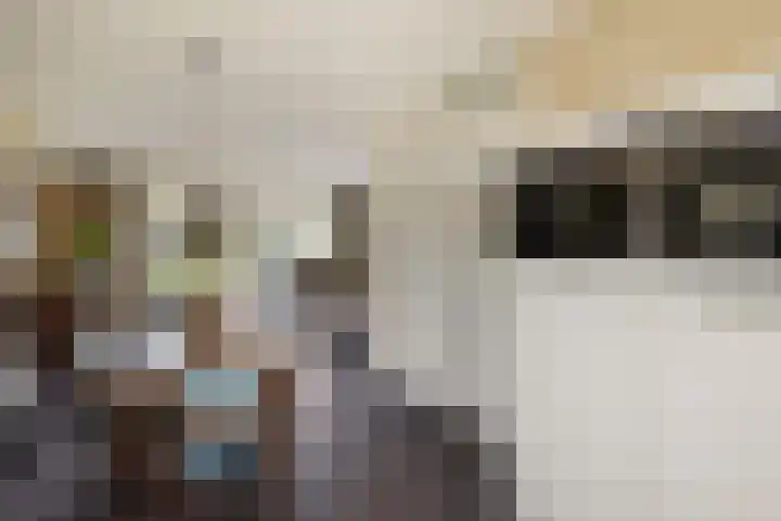 Arendshorst 79 Raalte thumbnail 13