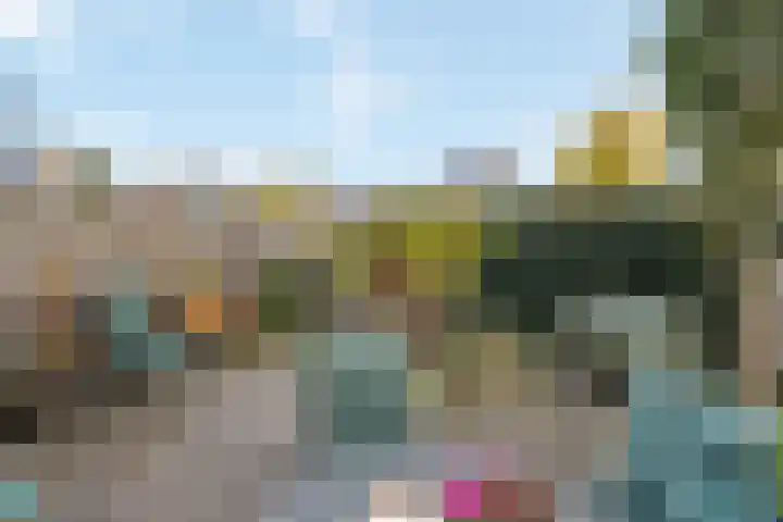 Arendshorst 79 Raalte thumbnail 27