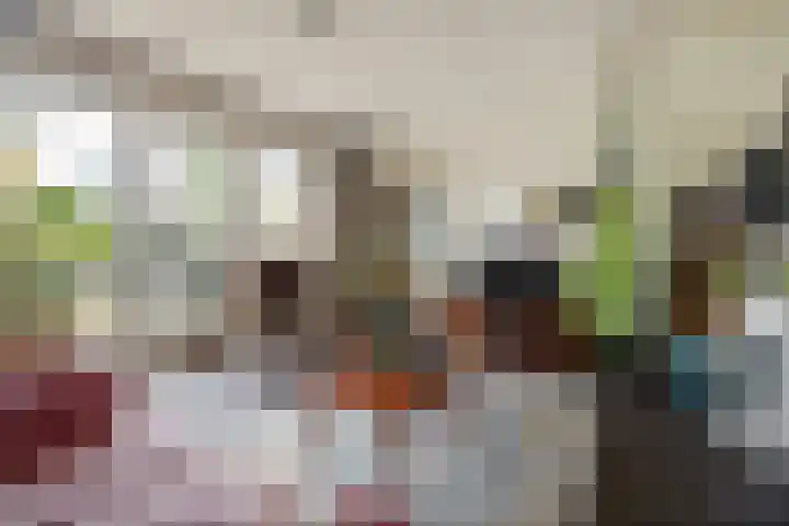 Arendshorst 79 Raalte thumbnail 6