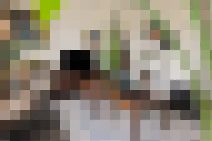 Arendshorst 79 Raalte thumbnail 7