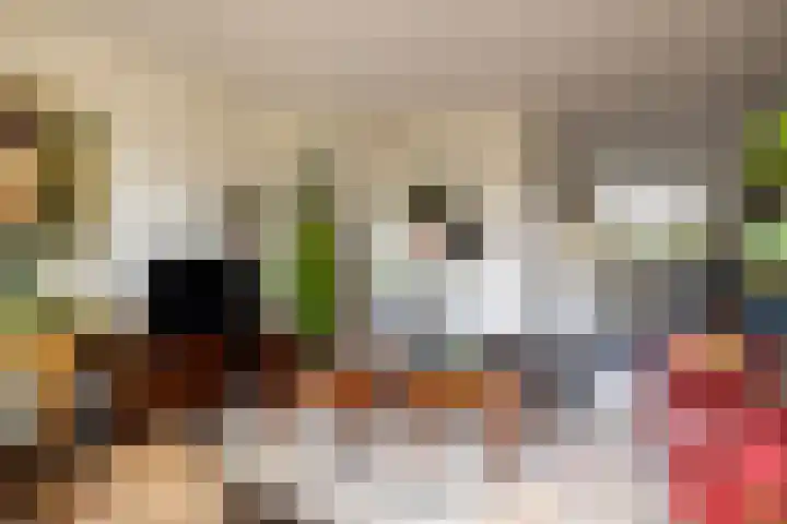 Arendshorst 79 Raalte thumbnail 9