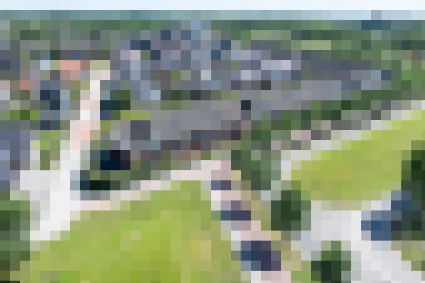 Arendshorst 83 Raalte thumbnail 4