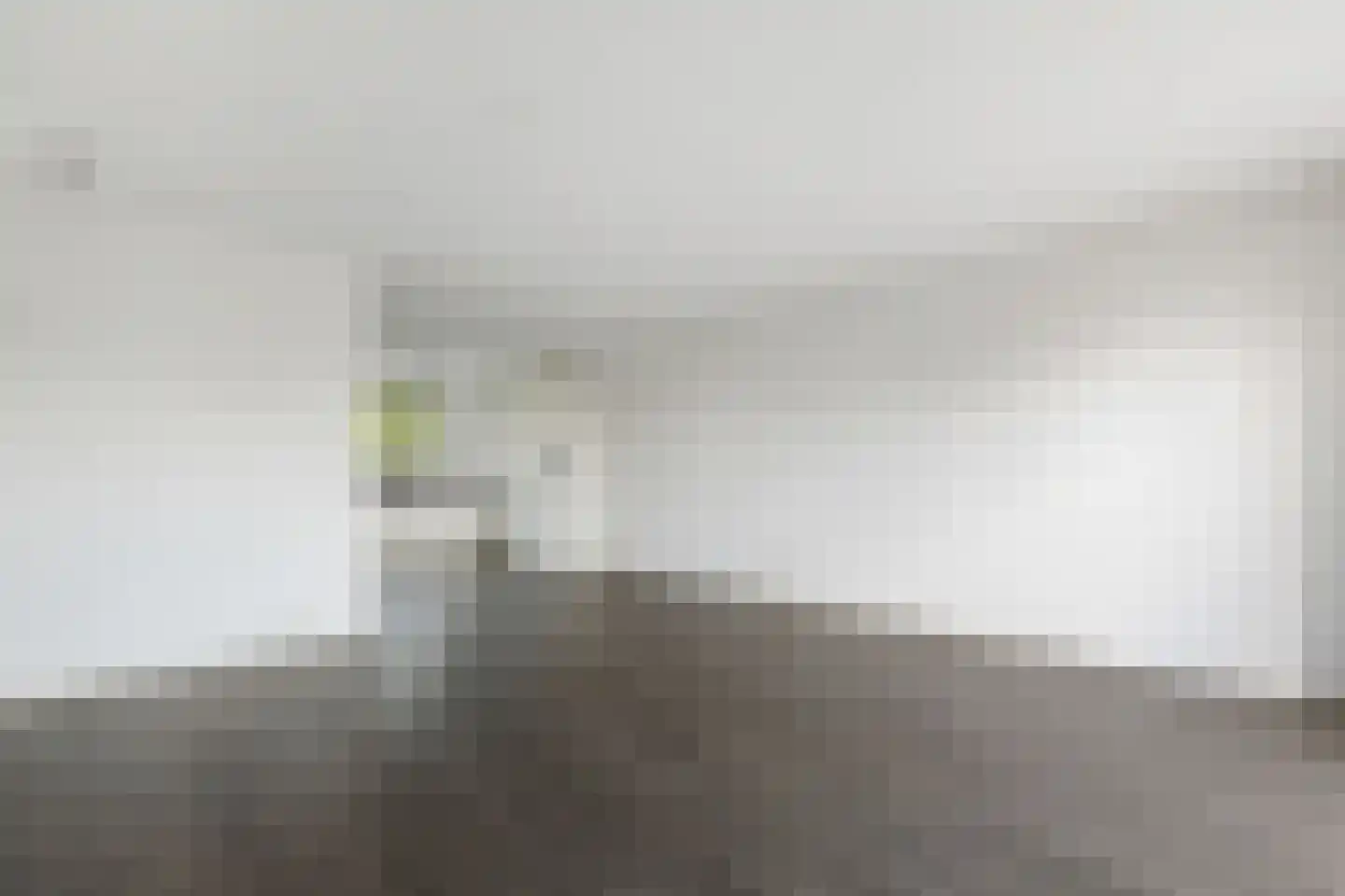 Arendshorst 83 Raalte thumbnail 7