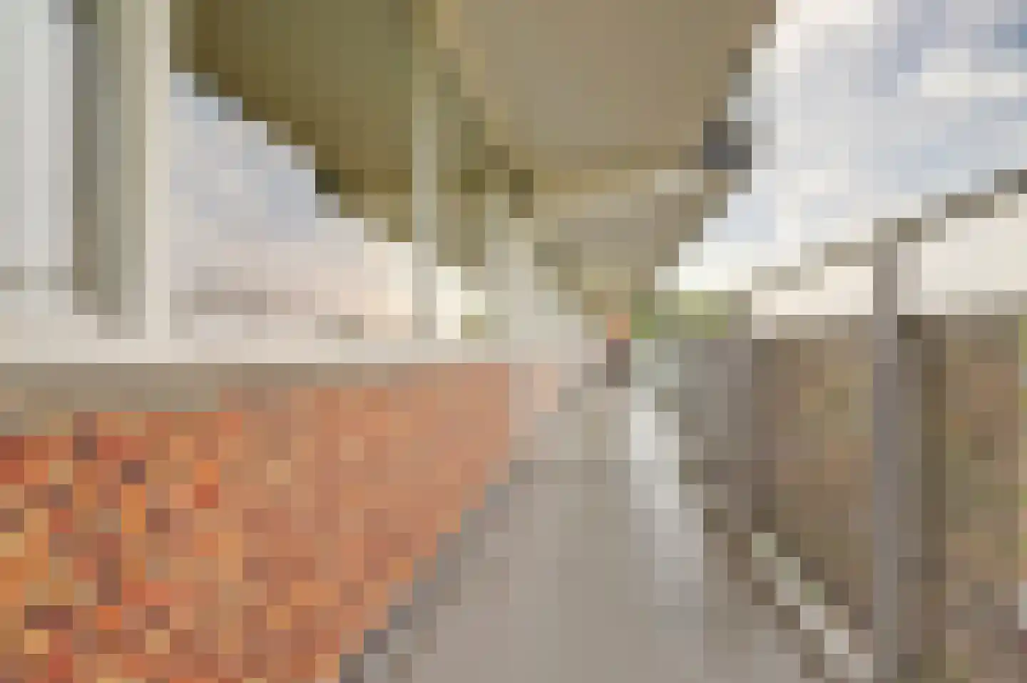 Arendshorst 84 Leiden thumbnail 13
